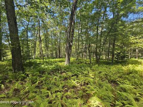 0 Hillbrook Drive, Beach Haven, PA 18702