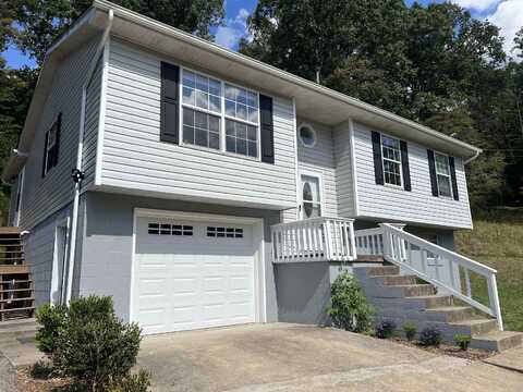 817 Middle Fork Wilson Ck Rd, Wayne, WV 25570