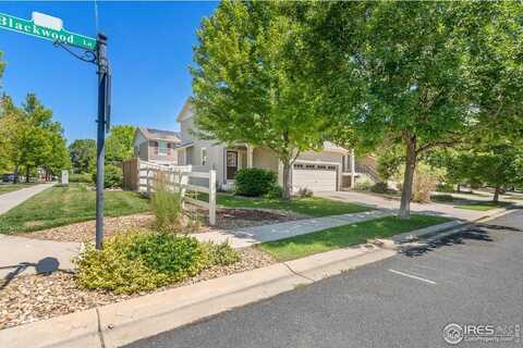 3837 Blackwood Ln, Johnstown, CO 80534