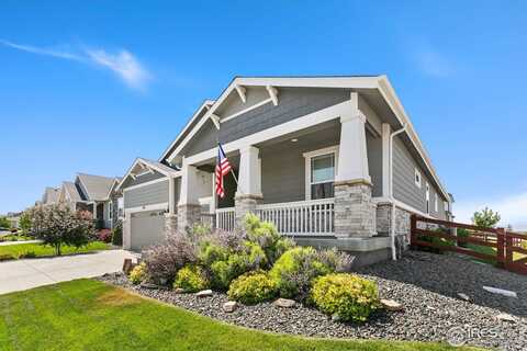1722 Branching Canopy Dr, Windsor, CO 80550