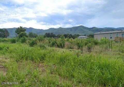 290 Bill Mauk Rd, Chuckey, TN 37641