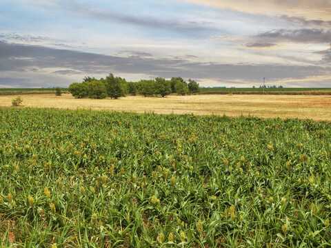 4100 Hawk Road, Ropesville, TX 79358