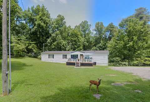 66 Dunmeyer Road, Nancy, KY 42544