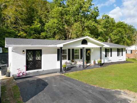 52 Station Branch, Prestonsburg, KY 41653