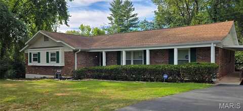 11039 Easy Street, Saint Ann, MO 63074