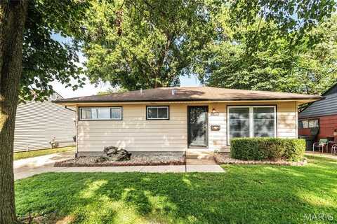 8015 Carlsbad Drive, Saint Louis, MO 63123