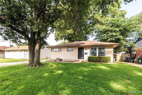 8015 Carlsbad Drive, Saint Louis, MO 63123