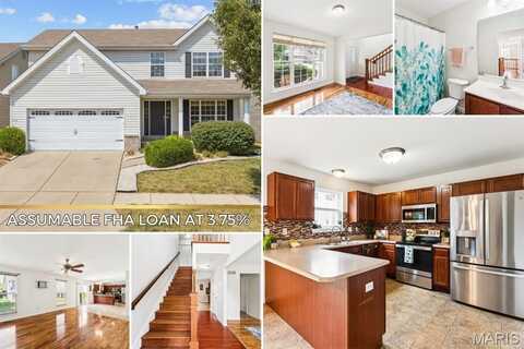 515 Newkirk Circle, Saint Peters, MO 63303