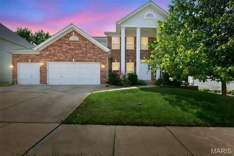 264 Magnolia Trace Drive, Ballwin, MO 63021
