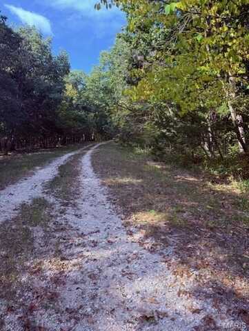50 Turkey Trail, New Florence, MO 63363