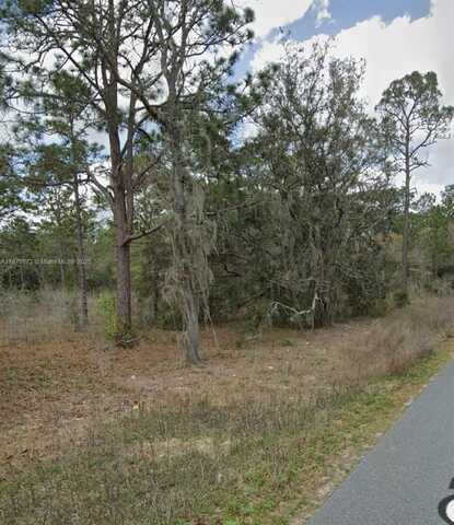 Undetermined SW 130th Ave, Other City - In The State Of Florida, FL 34432