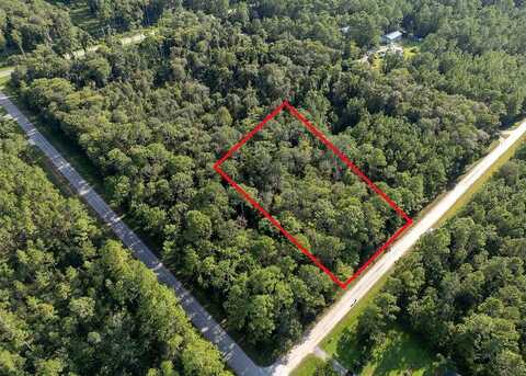 5003 WILLOW LANE, BUNNELL, FL 32110