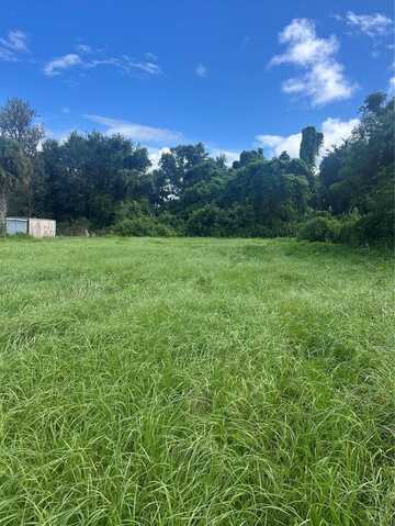 TRIGONIA STREET, ORLANDO, FL 32828