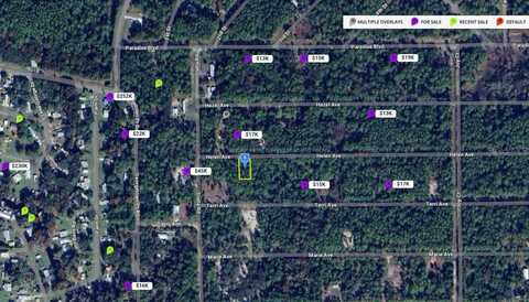107 HELEN AVENUE, GEORGETOWN, FL 32139
