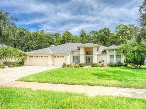 4125 KIRKALDY DRIVE, PALM HARBOR, FL 34685