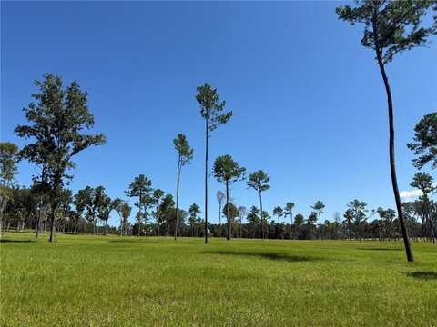 Do #8 (10ac) NW 193RD ST, MICANOPY, FL 32667
