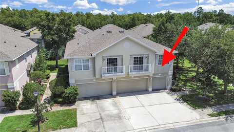 5202 BLUE ROAN WAY, WESLEY CHAPEL, FL 33544