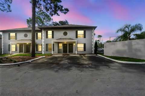5238 SUNRIDGE PALMS DRIVE, TAMPA, FL 33617