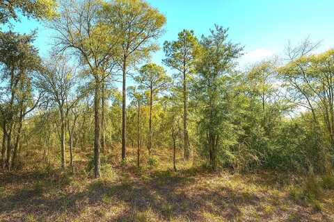 00 NE 122ND AVENUE, WILLISTON, FL 32696