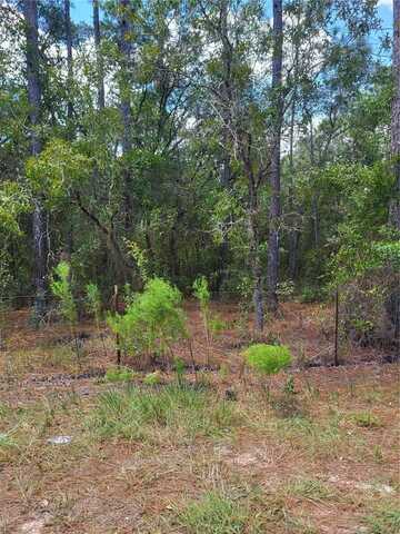 SW 178TH TERRACE, DUNNELLON, FL 34432