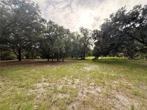 7805 TURKEY CREEK ROAD, PLANT CITY, FL 33567