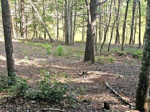 Lot 6 Cranes Nest Cove, MURPHY, NC 28906