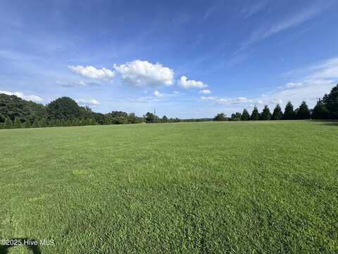 0 Wrays Court, Gaston, NC 27832