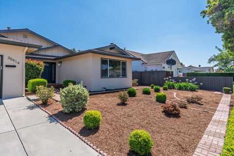 35914 Burning Tree DR, NEWARK, CA 94560