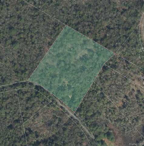 Diamond Road, Ellenville, NY 12428