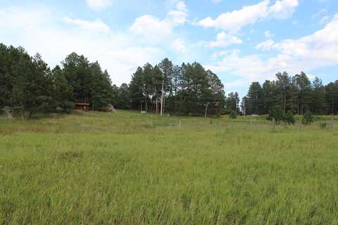 LOT 2 Granite Valley, Custer, SD 57730