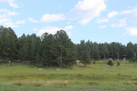 LOT 1 & 2 Granite Valley, Custer, SD 57730