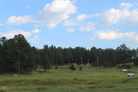 LOT 1 Granite Valley, Custer, SD 57730