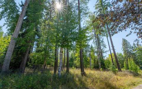 1000 Colorado Avenue, Whitefish, MT 59937