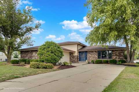 15507 S Willow Court, Homer Glen, IL 60491