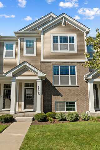 1228 Elm Street, Park Ridge, IL 60068