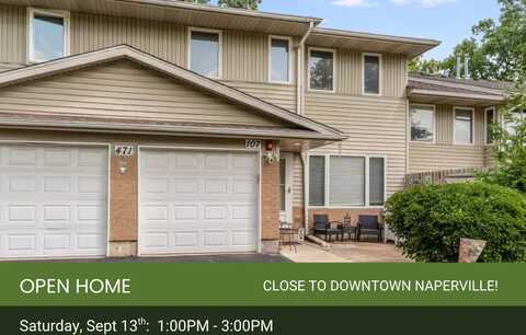 471 RIVER BEND Road, Naperville, IL 60540