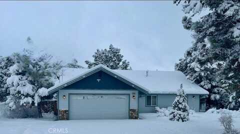 187 Dixie Lee Lane, Sugarloaf, CA 92386