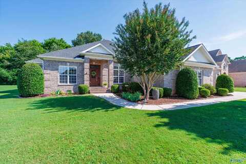 129 Riverway Lane, New Market, AL 35761