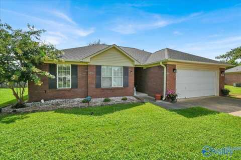 229 Steppe Court, Huntsville, AL 35811