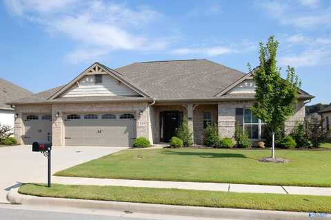 119 Tannenbaum Drive, Meridianville, AL 35759