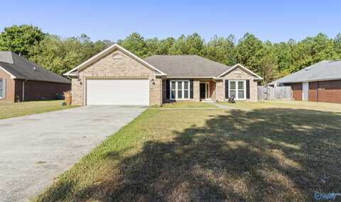 205 SW Bellemeade Street, Hartselle, AL 35640