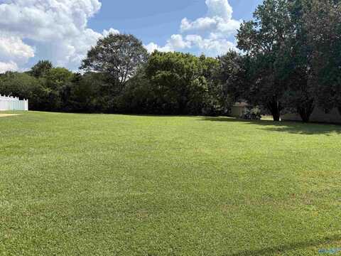 114 Ohara Drive, Albertville, AL 35950