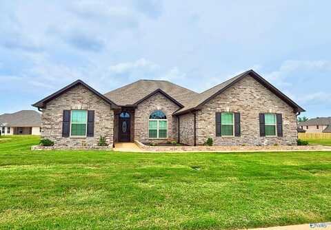 13735 Callaway Drive, Madison, AL 35756