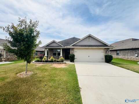 111 Pembridge Lane, Madison, AL 35756