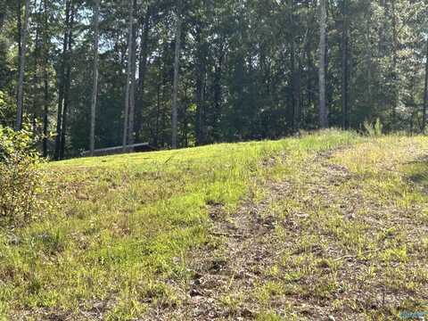 830 Dyar Drive, Boaz, AL 35956