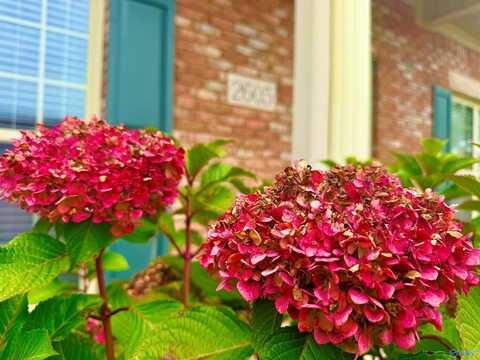 2605 Brompton Lane, Decatur, AL 35603