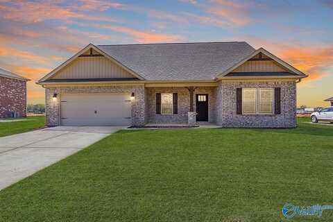 116 Ivy Vine Drive, Toney, AL 35773