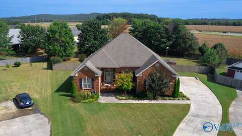 224 Falling Star Walk, Huntsville, AL 35806