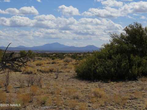 10424 W Line Cook Trail, Williams, AZ 86046