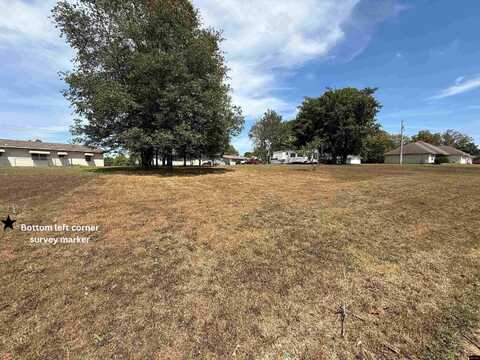 004-00552-000 WALNUT HILL LANE, Cotter, AR 72626